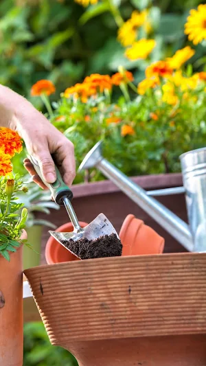 Gardening Wallpaper Screenshot 0