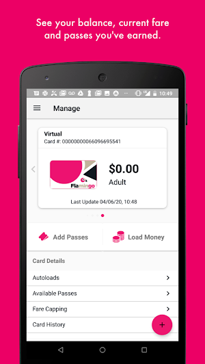 Flamingo Fares Screenshot 1
