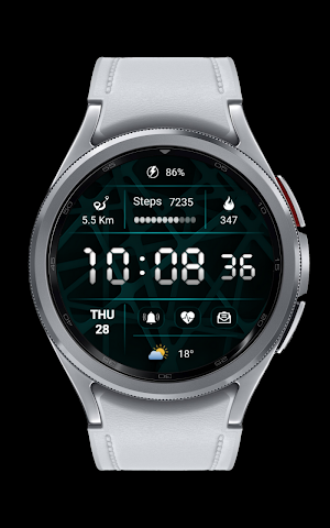 CNRwatch030 Screenshot 1