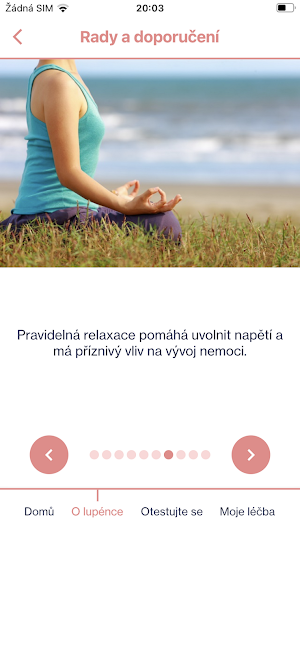 Lupénka Screenshot 3