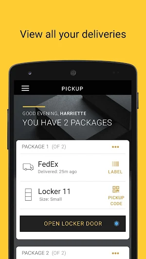 Luxer One Screenshot 1