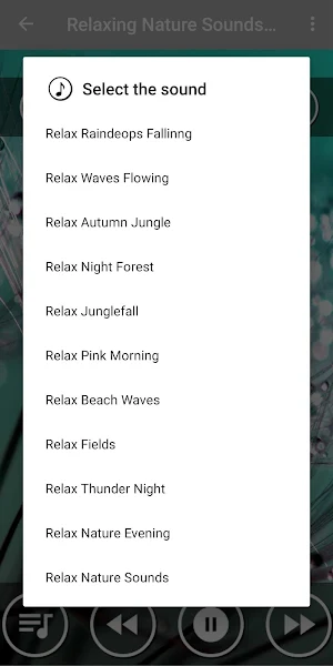 Nature Relaxing Music Screenshot 1