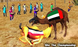 Camel Champion Fighting: Angry Camel Ring Fighter Screenshot 3