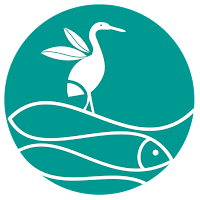 MP WETLAND