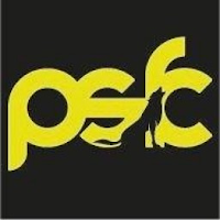 PSFC Borgo Montenero