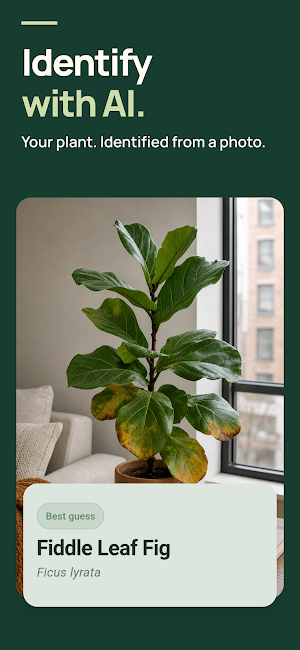 Listva: Plant Care & Scanner Screenshot 0