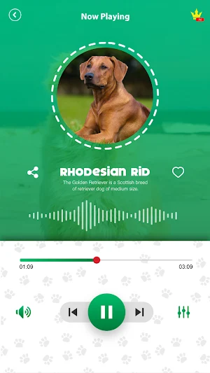 Dog Barking Sounds & Ringtone Screenshot 3