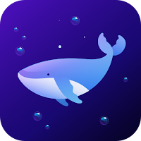 Dolphin VPN - Secure & Stable