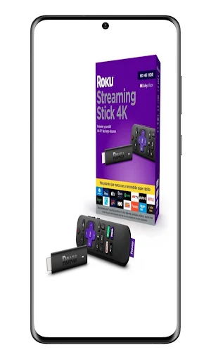 Roku 4K Streaming Stick Guide Screenshot 2