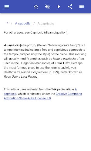 Musical Terms Screenshot 2