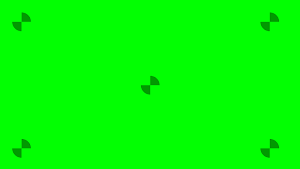 ChromaKey Screen+ Screenshot 3