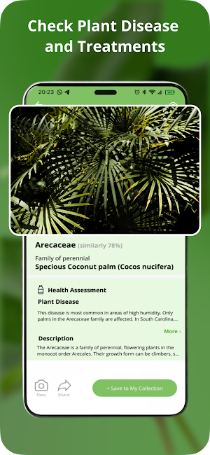 Identify This Plant Sick Screenshot 3
