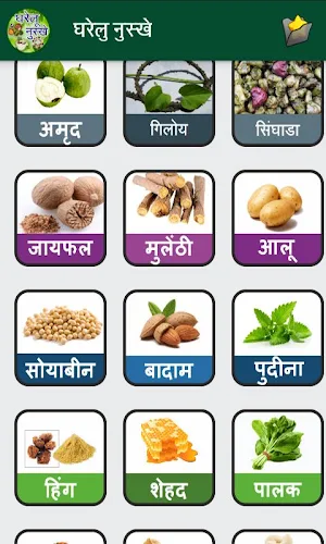 Gharelu Nuskhe in Hindi Screenshot 3