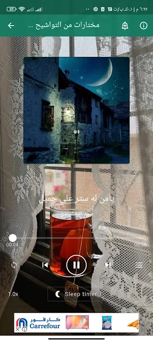 تواشيح سيد النقشبندى بدون نت Screenshot 1