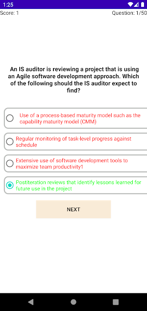 CISA Practice Questions Screenshot 3