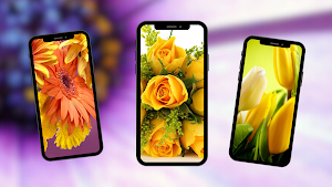 Flowers Wallpapers Screenshot 2