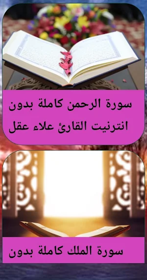 القرآن بدون نت بصوت علاء عقل Screenshot 1