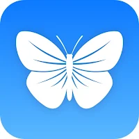 Blue VPN