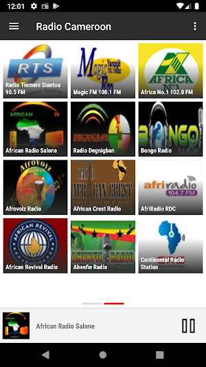RADIO CAMEROON Screenshot 2