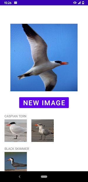 Bird identifier Screenshot 3