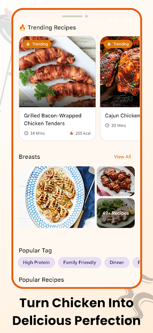 Easy Grilled Chicken Recipes Screenshot 1
