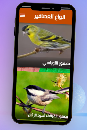 انواع العصافير Screenshot 2