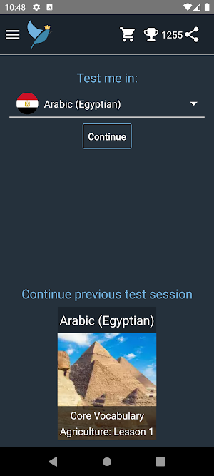 Egyptian Arabic Language Tests Screenshot 0