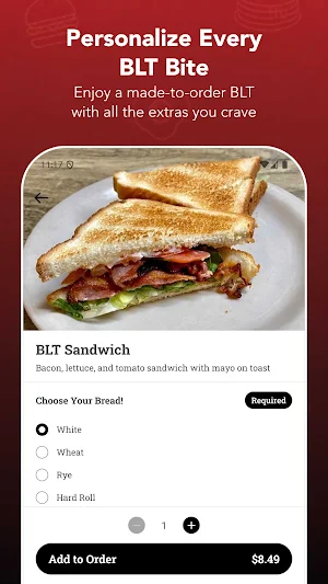 Newest Lunch Screenshot 3