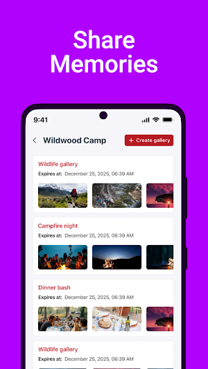 NetCamps Screenshot 3