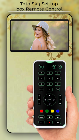 Tata Sky Set Top Box Remote Screenshot 2