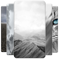 Grey Wallpapers