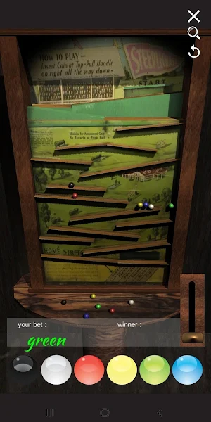 STEEPLECHASE Racing Game Stimu Screenshot 0