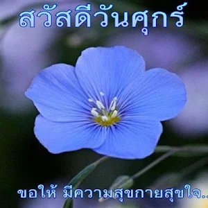 สวัสดีตอนเช้า Screenshot 0