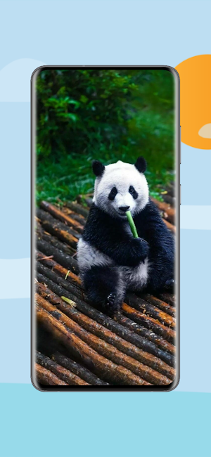 Cute Animal Wallpapers 4K Screenshot 2