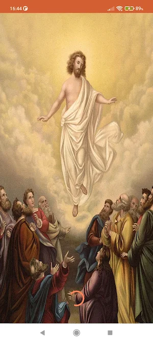 Daily Homilies & Reflections Screenshot 0
