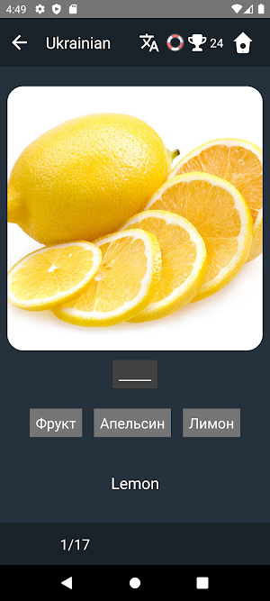 Ukrainian Language Tests Screenshot 3