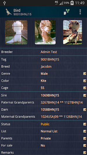 Bahrain Pigeons Screenshot 2