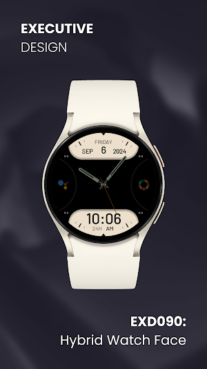 EXD090: Hybrid Watch Face Screenshot 3