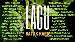 Lagu Mp3 Batak karo 2025 Screenshot 0
