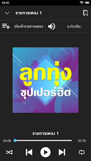เพลงลูกทุ่งรวมฮิต Screenshot 1