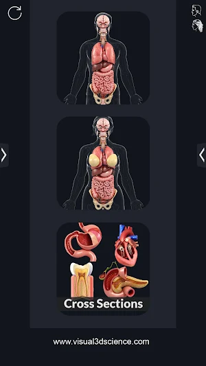 Organs Screenshot 0
