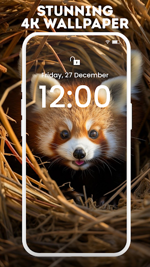Kawaii Red Panda Wallpaper 4K Screenshot 2