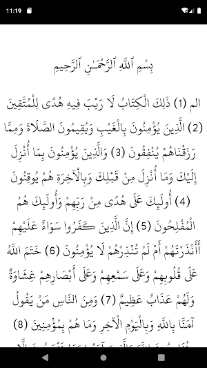 Saleh Al Talib Quran offline Screenshot 3