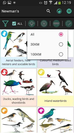 Newman's Birds LITE Screenshot 3
