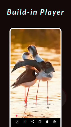 Tik Downloader - No Watermark Screenshot 2