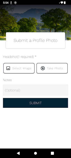 One Fore-All Screenshot 3