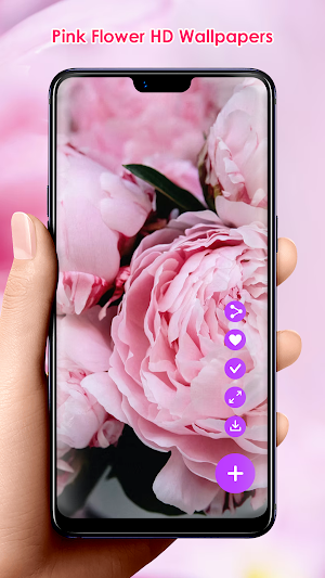 Pink Flower HD Wallpapers Screenshot 1