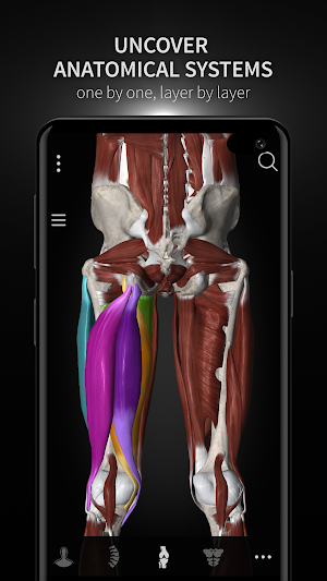 Anatomyka - 3D Human Anatomy Atlas screenshot 8