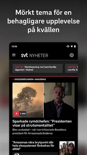 SVT Nyheter Screenshot 1
