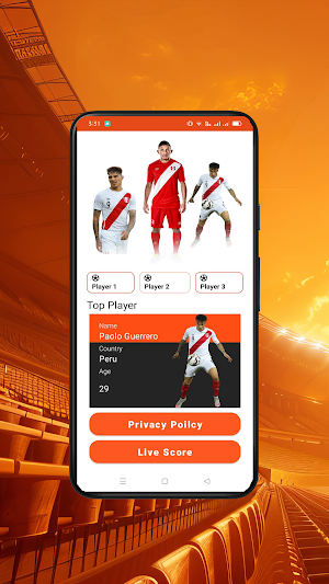 Soccer Scores PE Screenshot 2
